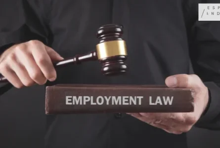 How Much Does an Employment Lawyer Cost in California?