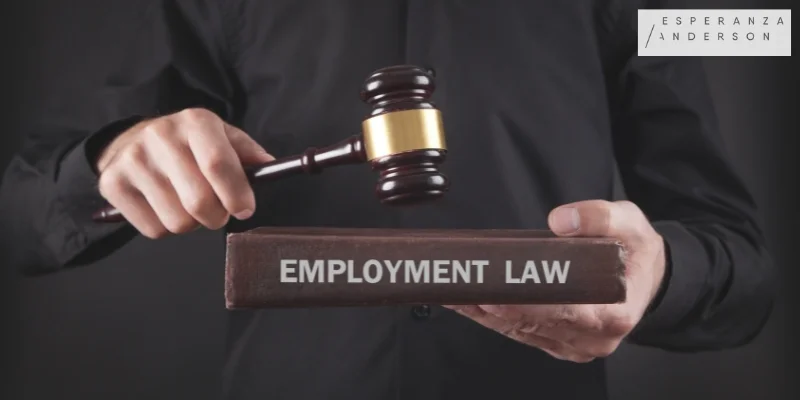 How Much Does an Employment Lawyer Cost in California?